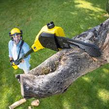 Best Emergency Tree Removal  in Rolling Meadows, IL